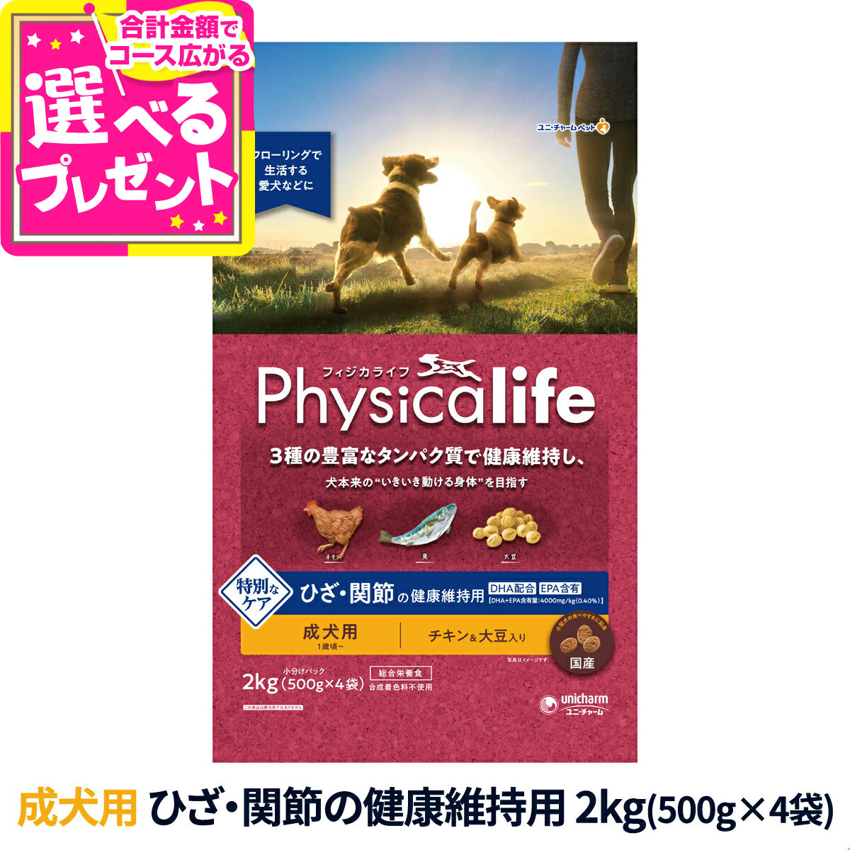 フィジカライフ チキン 猫 2袋 楽天市場】【順次パッケージ変更】フィジカライフ (Physicalife