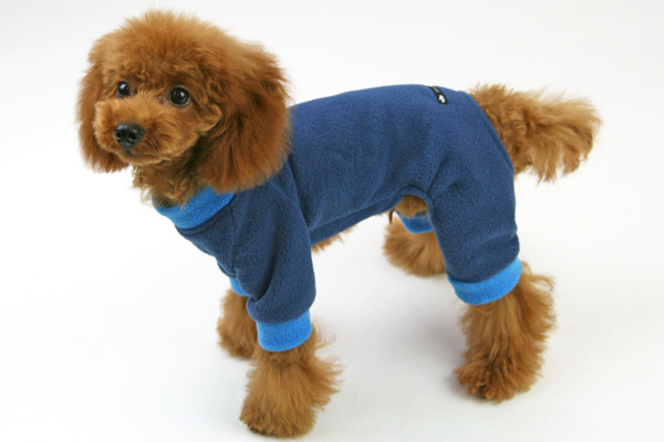 楽天市場 犬服型紙 小型犬用 犬服立体3dパターン ハイネック長袖カバーオール ドッグピース 楽天市場店