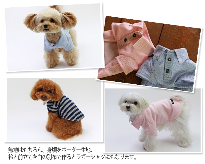 楽天市場 犬服型紙 小型犬用 ポロシャツ ラガーシャツ ドッグピース 楽天市場店