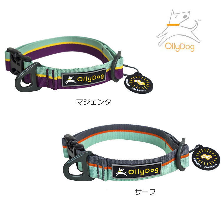 楽天市場 Ollydog オリードッグフラッグスタッフカラー 犬 首輪 ペット ペットグッズ 犬用品 首輪 胴輪 リード 首輪 可愛い おしゃれ 中型犬 大型犬 輸入犬用品 雑貨 Dogplanet