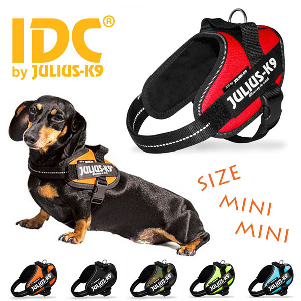 楽天市場 送料無料 メール便発送 Julius K9 ユリウスk9 Idcパワーハーネス Mini Miniサイズ 参考犬 種 ジャックラッセル ダックス等 小型犬 輸入犬用品 雑貨 Dogplanet