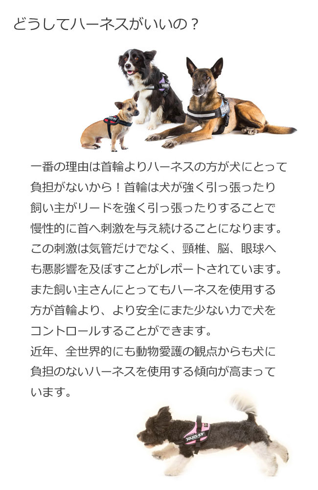 楽天市場 送料無料 Julius K9 ユリウスk9 Idcパワーハーネス サイズ2 参考犬種 ゴールデン ドーベルマン等 ペット ペットグッズ 犬用品 胴輪 ハーネス 大型犬 輸入犬用品 雑貨 Dogplanet