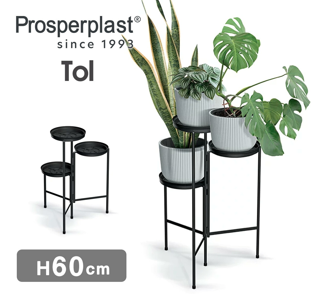 【マラソン期間中 P5倍】 new Prosperplast プロスパープラスト TOL フラワータンド 3段 高さ60cm スリム フラワースタンド 鉢置き 室内 観葉植物TOL H60cm