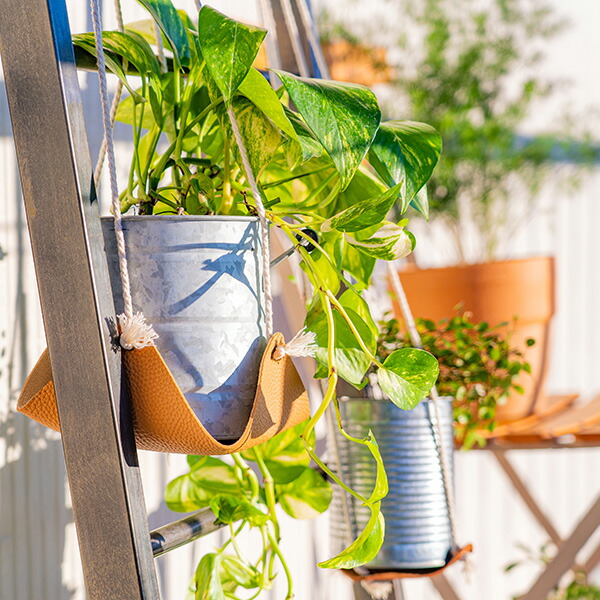 稀少 イギリス製 ユニークなテラコッタ吊下げ型ポットハンギングポット L 穴有り 稀少 イギリス製 ユニークなテラコッタ吊下げ型ポットハンギングポット