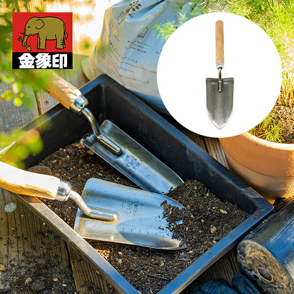 G.shovel (スコップ) 植替え 398_1.jpg