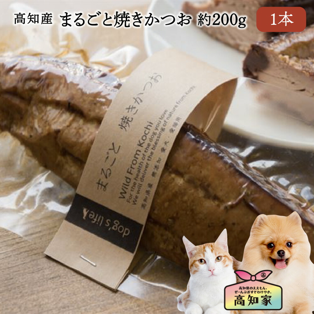 年がしら猫・食欲が落ちた猫におすすめのお兄ちゃん