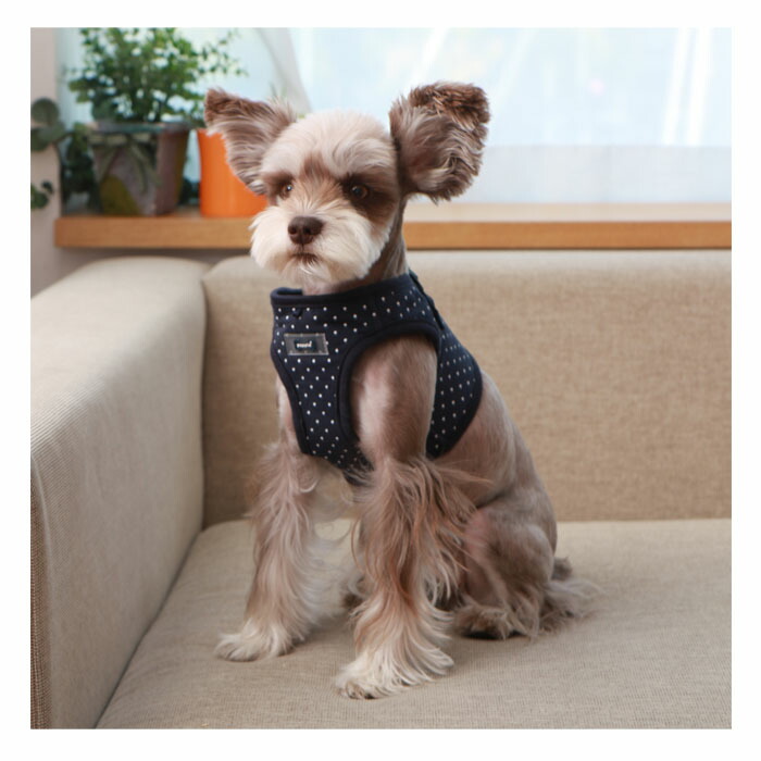 puppia dotty harness