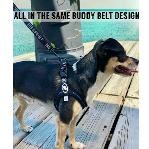 超美品の バディーベルト BBスポーツリードLサイズ 小型犬 ペット BUDDYBELT バディベルト 犬用 バディーベルト正規輸入代理店 正規店  tencarat-plume.jp