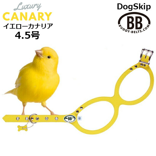 バディーベルト ハーネス 4.5号 カナリア Canary イエロー 黄色 カナリー 小型犬 ペット レザー 本革 BUDDYBELT バディベルト 犬用 胴輪 リングハーネス メガネハーネス ボディベルト バディーベルト正規輸入代理店 正規店｜犬服，ドッグウェア DogSkip