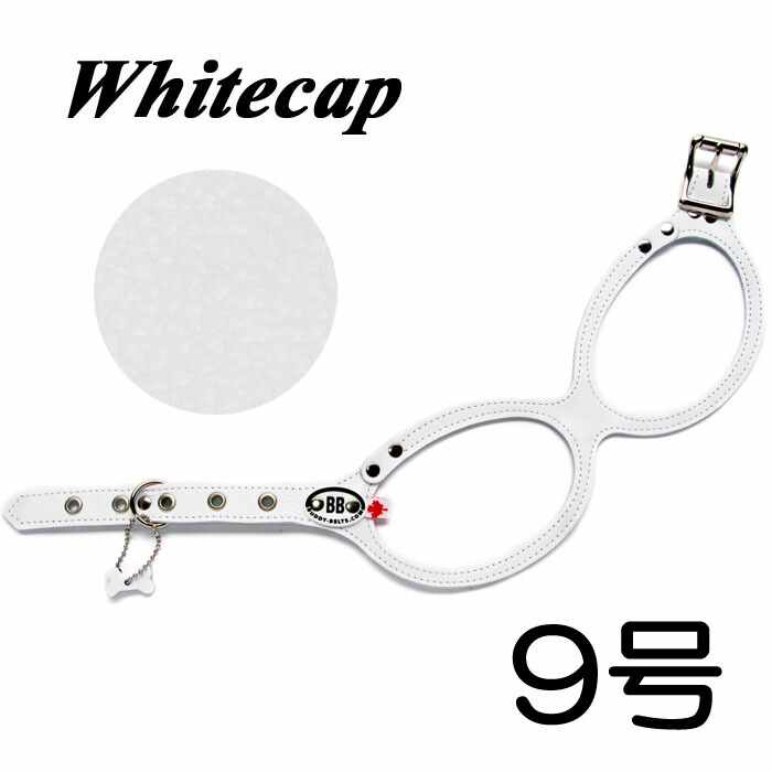 胴輪 馬具 上半身三尺帯 9号 白いこと旗がしら Whitecap 愛玩動物 犬 なめし革 本革 BUDDYBELT バディーベルト 犬用 飼い犬 大型犬 バディーベルト定まりインポート代わりになる店 定まり店