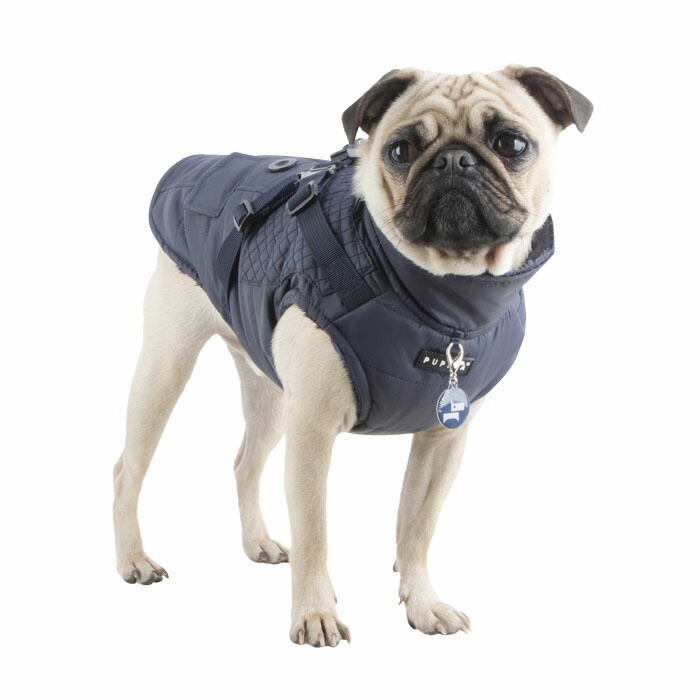 犬用