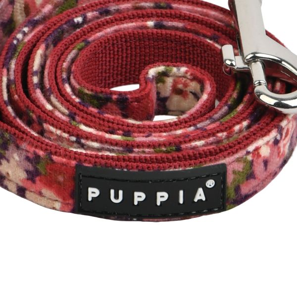 PUPPIA GIANNI LEAD