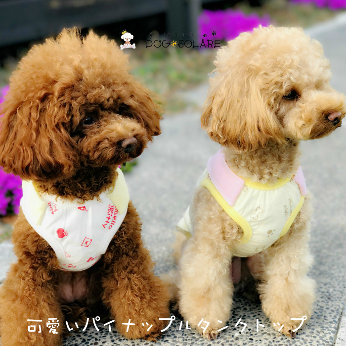 楽天市場 送料無料 30 Off 超小型犬 小型犬 犬 服 Uvカットドッグウェア タンクトップ パイナップル コットン 春 夏 おしゃれ 可愛い 爽やか 棉 清涼 涼しい お洒落 かわいい ベーシック ワンピース 女の子 男の子 犬 服 犬の服 犬の洋服 ペット服 ペットウェア 犬