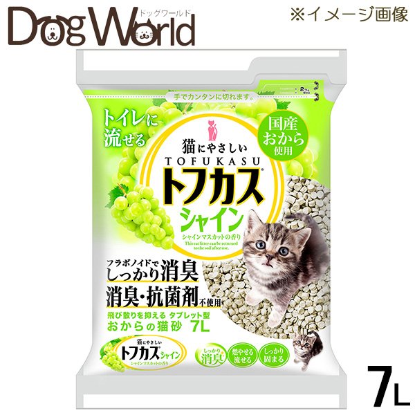 猫 トイレ 砂 細かい 固まる 【公式】, 41% 割引 | saferoad.com.sa