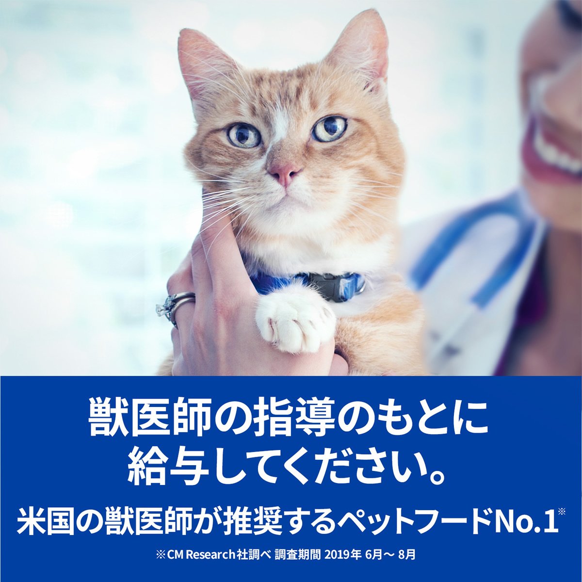 ヒルズ 猫用 Y D ワイディー 甲状腺ケア ドライ 2kg×6袋ケース販売