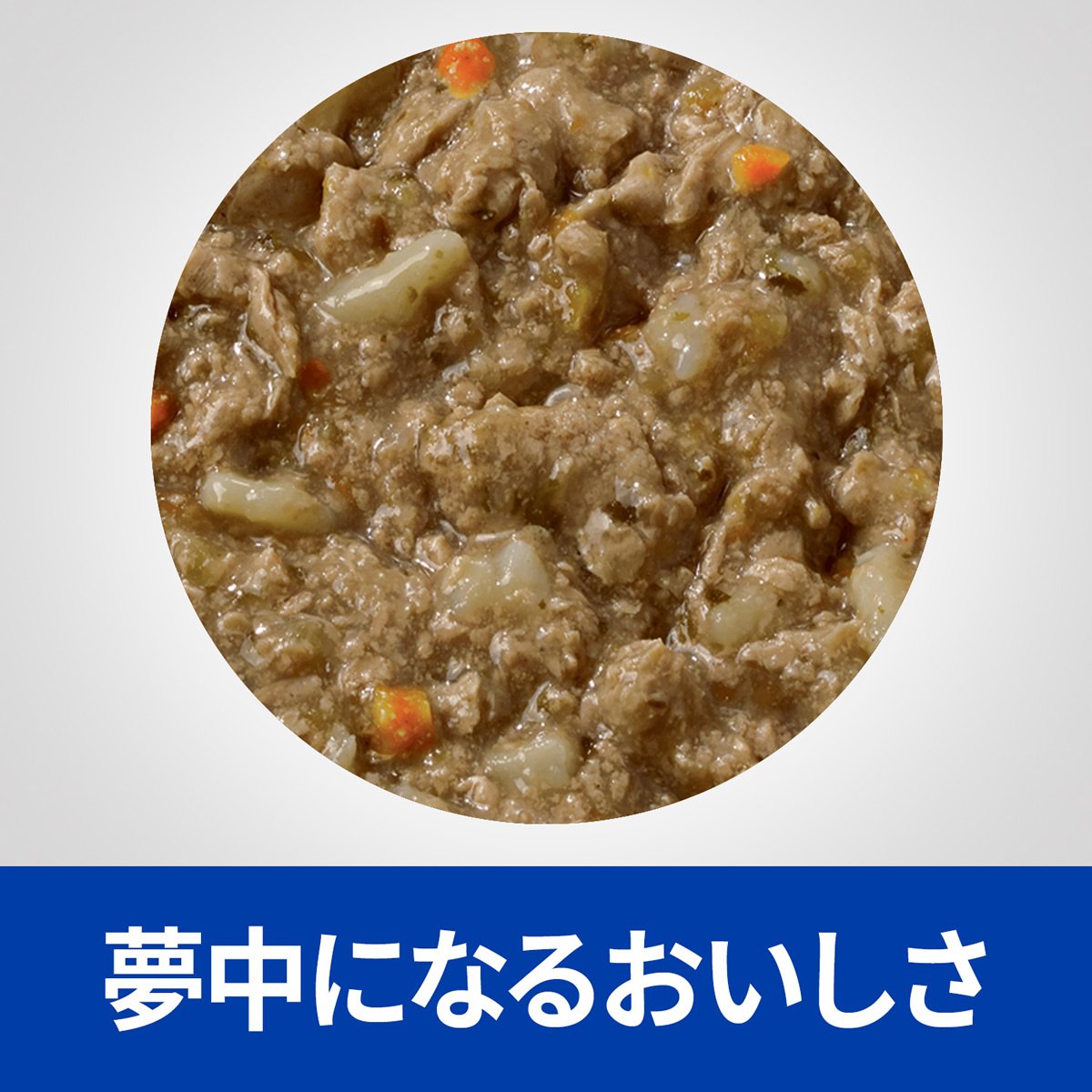 上質で快適 ヒルズ 猫用 k d 腎臓ケア チキン 野菜入りシチュー缶 82g×24 turbonetce.com.br