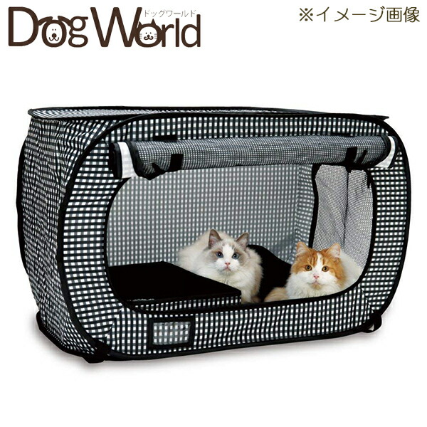 【ねこページ①】 61ZbdukeULL.jpg_BO30,255,255,