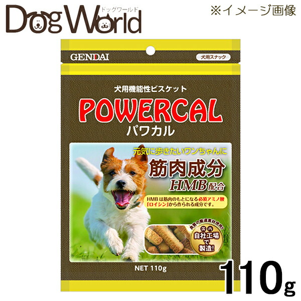 現代製薬 パワカル 110g 2022年のクリスマス