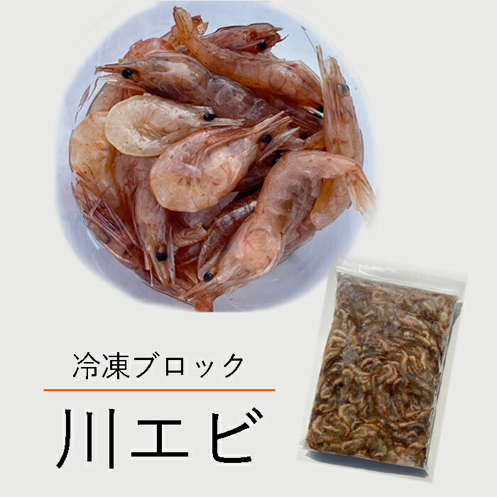 810円 スーパーセール 冷凍 エサ用 川エビ 1kg 500g 2個 かわえび エサ 熱帯魚 古代魚 餌 冷凍エサ カワエビ