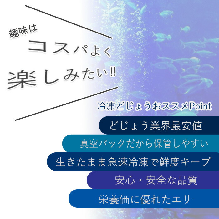 どじょう日本一 冷凍 古代魚 大 熱帯魚 えさ 500g エサ どじょう 約匹 釣り 約16cm