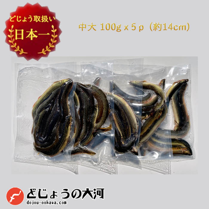 楽天市場】【 どじょう 日本一】 えさ どじょう 1kg 中 【約13cm 約120匹】 えさ 活どじょう 釣り エサ 熱帯魚 古代魚 エサ に  どじょう (食用OK)： どじょうの大河 ドジョウ 生き餌 生餌 生体 餌 : どじょうの大河 楽天市場店