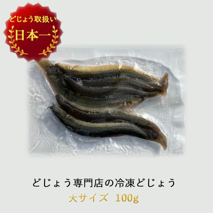 冷凍 エサ えさ どじょう 古代魚 熱帯魚 約4匹 釣り 約16cm 100g 大