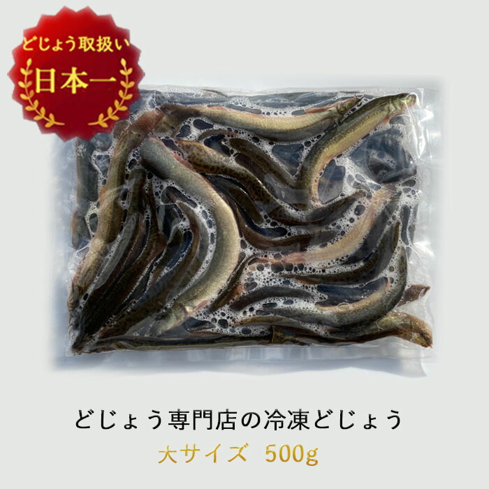 市場 どじょう日本一 大 冷凍 どじょう 釣り 約16cm エサ 熱帯魚 えさ 500g 古代魚 約20匹