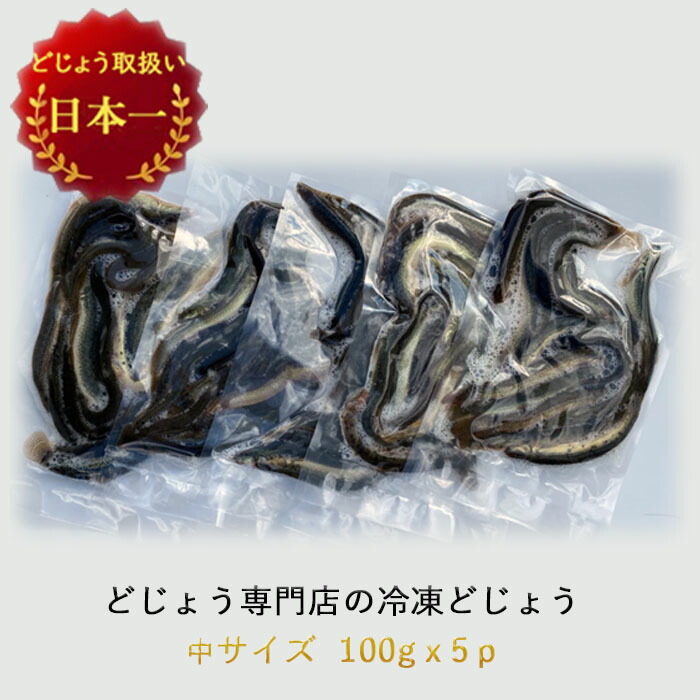 エサ どじょう 冷凍 釣り えさ 熱帯魚 古代魚 餌 に どじょうの大河 ドジョウ つり 即納 大特価