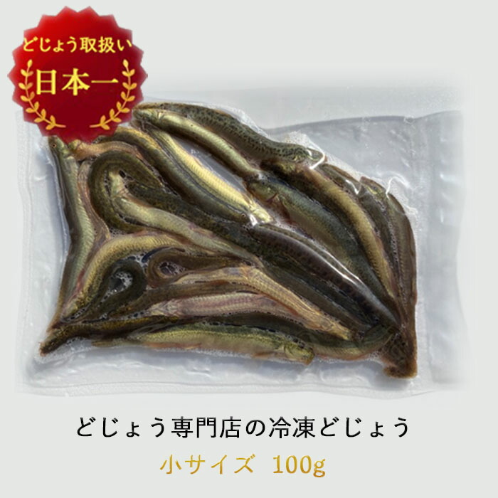 市場 冷凍 熱帯魚 古代魚 エサ 約10cm 約20匹 100g 小 えさ どじょう 餌どじょう：どじょうの大河 釣り