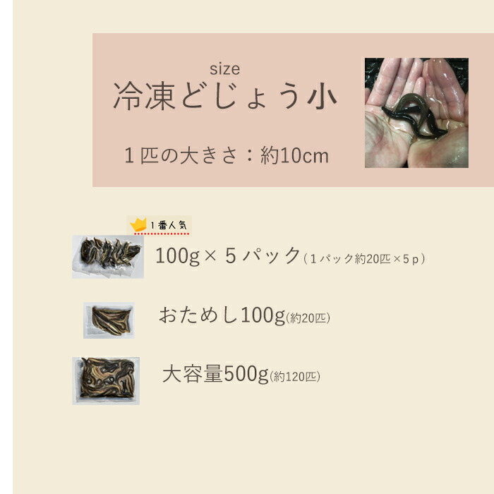 市場 どじょう 約60匹 熱帯魚 中 冷凍 えさ 500g 古代魚 約13cm 日本一 釣り エサ