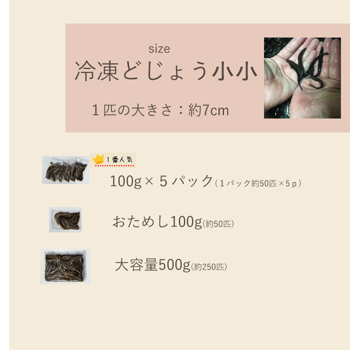 市場 どじょう日本一 大 冷凍 どじょう 釣り 約16cm エサ 熱帯魚 えさ 500g 古代魚 約20匹