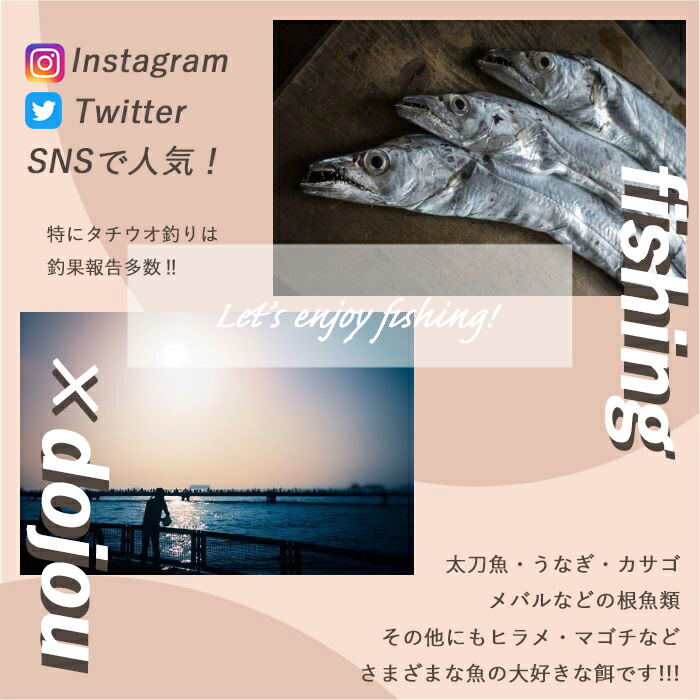 どじょう日本一 冷凍 古代魚 大 熱帯魚 えさ 500g エサ どじょう 約匹 釣り 約16cm