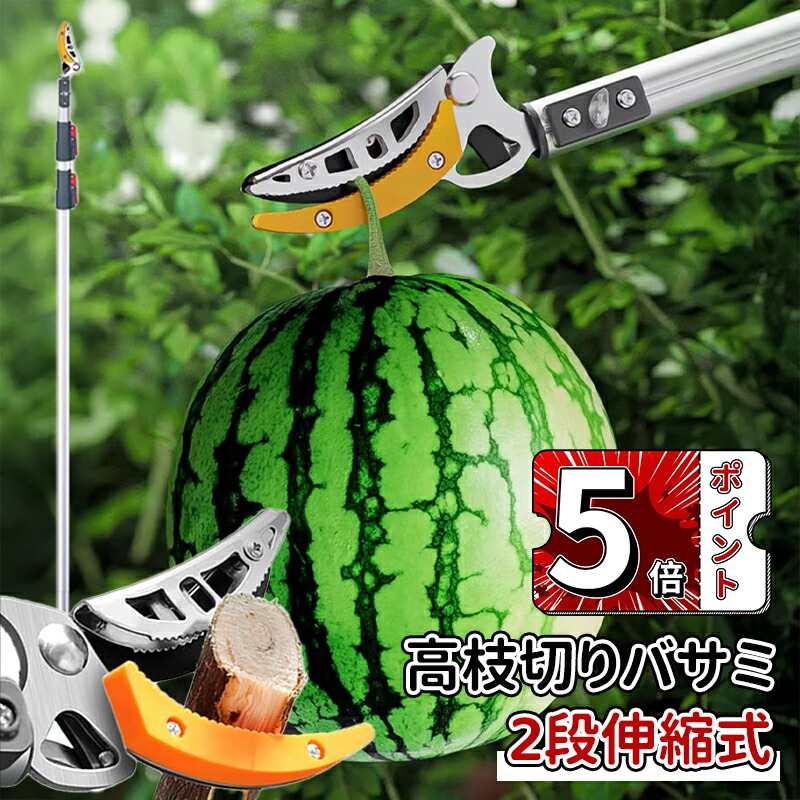 この夏、命のせんたくの楽しさ全開！