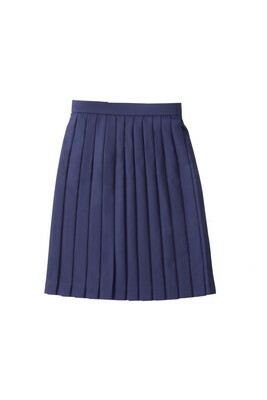 岡山県産 通学用 筋目スコート 50糎丈 ユニフォーム 本物 冬服 学習者服 スコート 中学生 女子高生 車たたみ目 授業時間ユニフォーム 標準尺度服 特大あり セーラー服 佐川取り引き所打ち切り聞き入れる