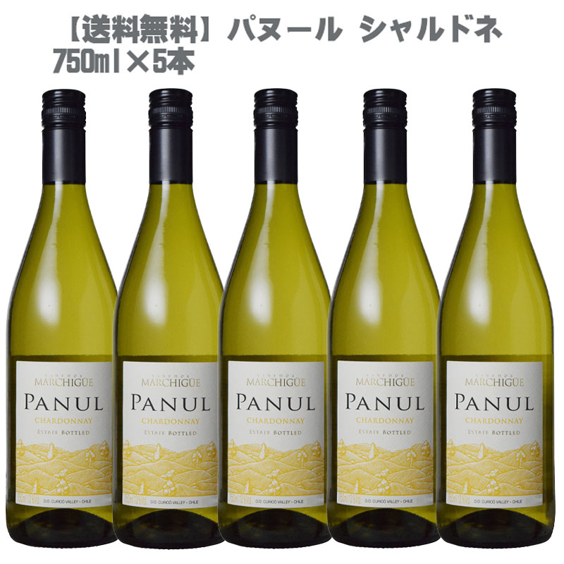 パヌール シャルドネ 白 750ml ×５本セット ［チリ 白ワイン 辛口 ］［送料無料］