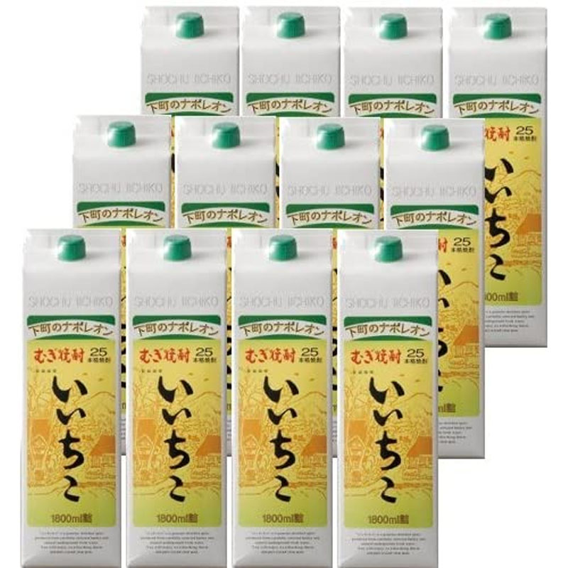 いいちこ 焼酎 1800ml 12本入り いいちこ20度 いいちこ 焼酎 20度 1.8L 1800ml パック 2ケースセット
