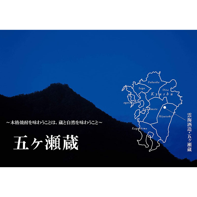 市場 送料無料 4L×1本 25度 雲海 本格そば焼酎 宮崎 そば