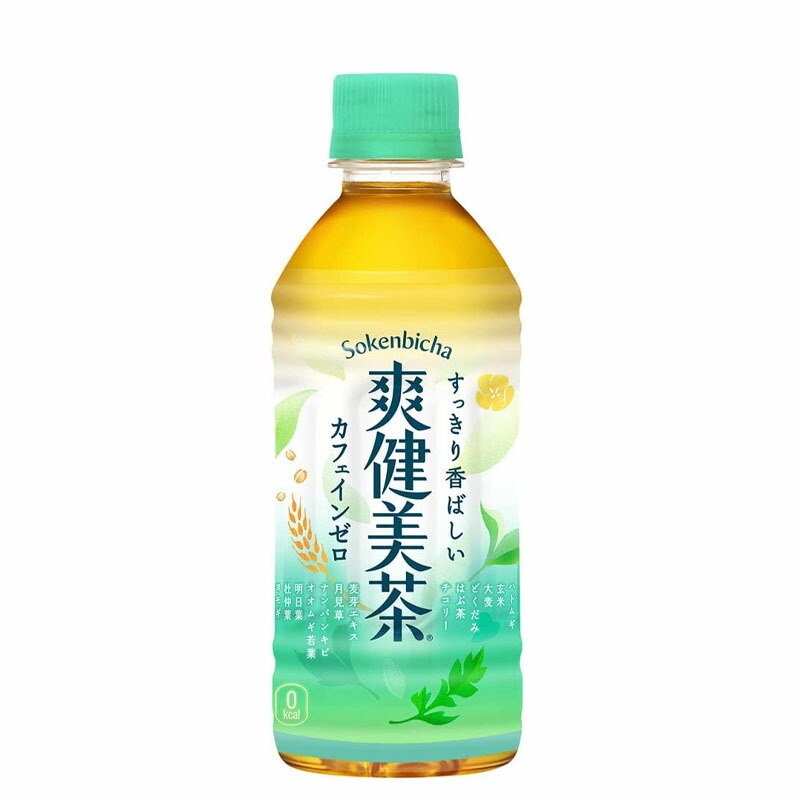 けんちゃなさん専用 souken300.jpg
