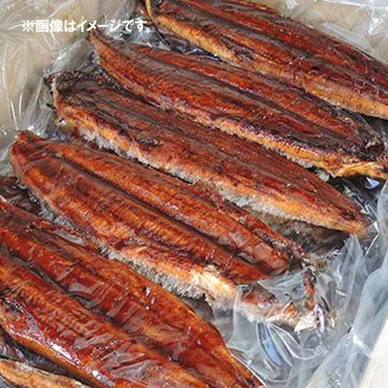 冷凍 中国産 うなぎ 蒲焼  40尾サイズ　 5kg（約２０～２１尾入り）<br>［冷凍 業務用 鰻］