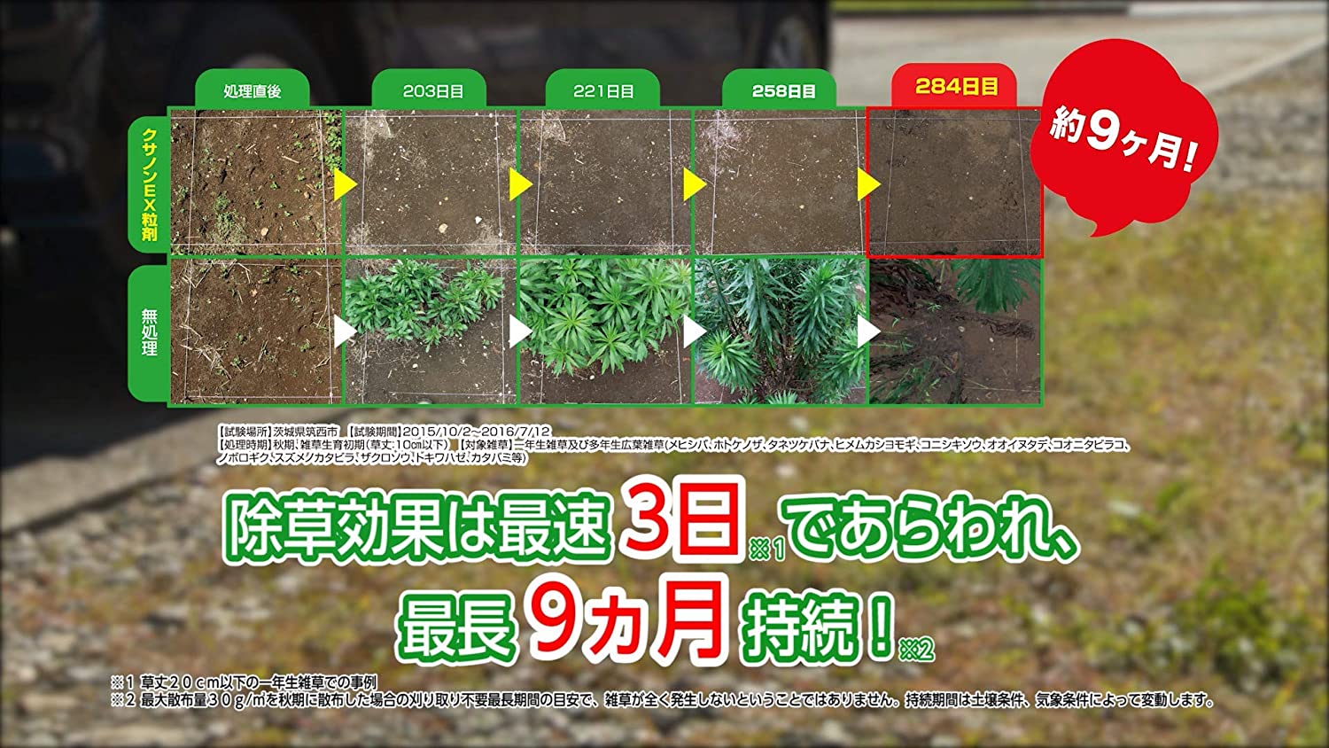 楽天市場】クサノンEX粒剤 800g 住友化学園芸 ガーデニング 除草剤：ドンドンマーケット