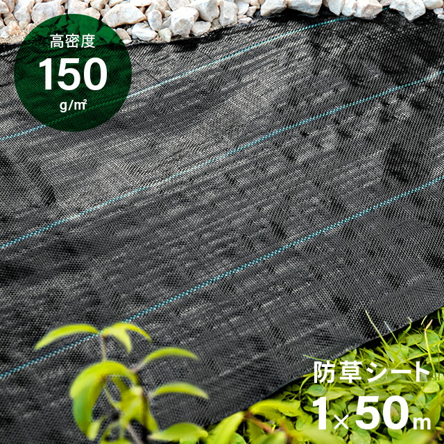 wps01-50_2.jpg