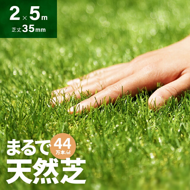 [クーポンで5%OFF] 人工芝 ロール 2m×5m 芝丈35mm 高密度44万本／ｍ2 芝生マット 人工芝生 人工芝マット 人工芝ロール 芝生 ロールタイプ 固定ピン 庭 ベランダ テラス バルコニー ガーデニング ガーデン 屋上緑化 u字ピン 水はけ 8,999円