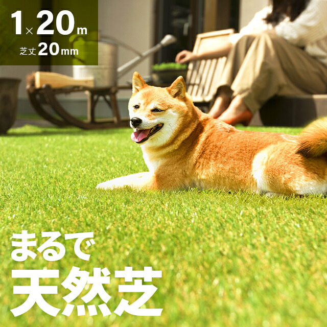 【クーポン券】目を止めるの新商いものが今だけオトク！