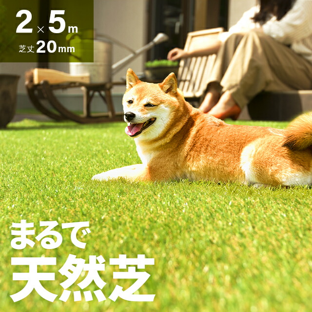 【クーポン券】目を止めるの新商いものが今だけオトク！