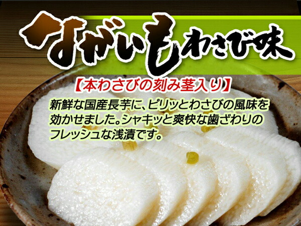 ながいも浅漬 わさび味230g 信州長野のお土産 【95%OFF!】 土産 長野県 長芋漬け物 長芋漬物 ご当地 グルメ 長芋漬け お取り寄せ  長野土産 長野お土産