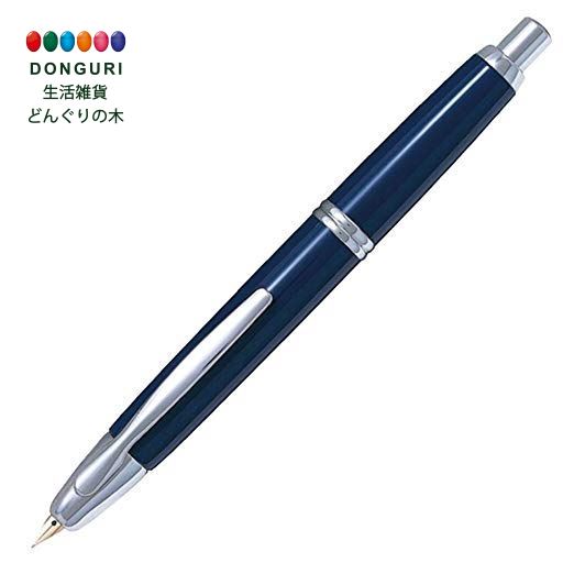 楽天市場】【200円クーポン】 PILOT パイロット 万年筆 研出蒔絵 黒蜻蛉 蜻蛉塗 中字 M FK-5MP-SR-M ＜プレゼント 入園祝い  入学祝い かわいい おしゃれ お返し＞ : 生活雑貨 どんぐりの木