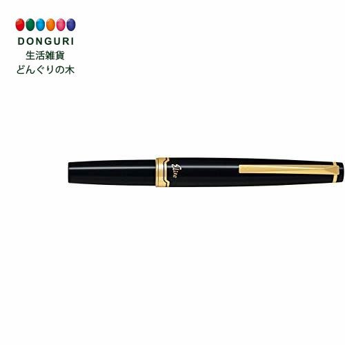 楽天市場】【200円クーポン】 PILOT パイロット 万年筆 カスタム743 極細字 EF 黒軸 FKK3000RBEF ＜母の日 プレゼント  入園祝い 入学祝い かわいい おしゃれ お返し＞ : 生活雑貨 どんぐりの木