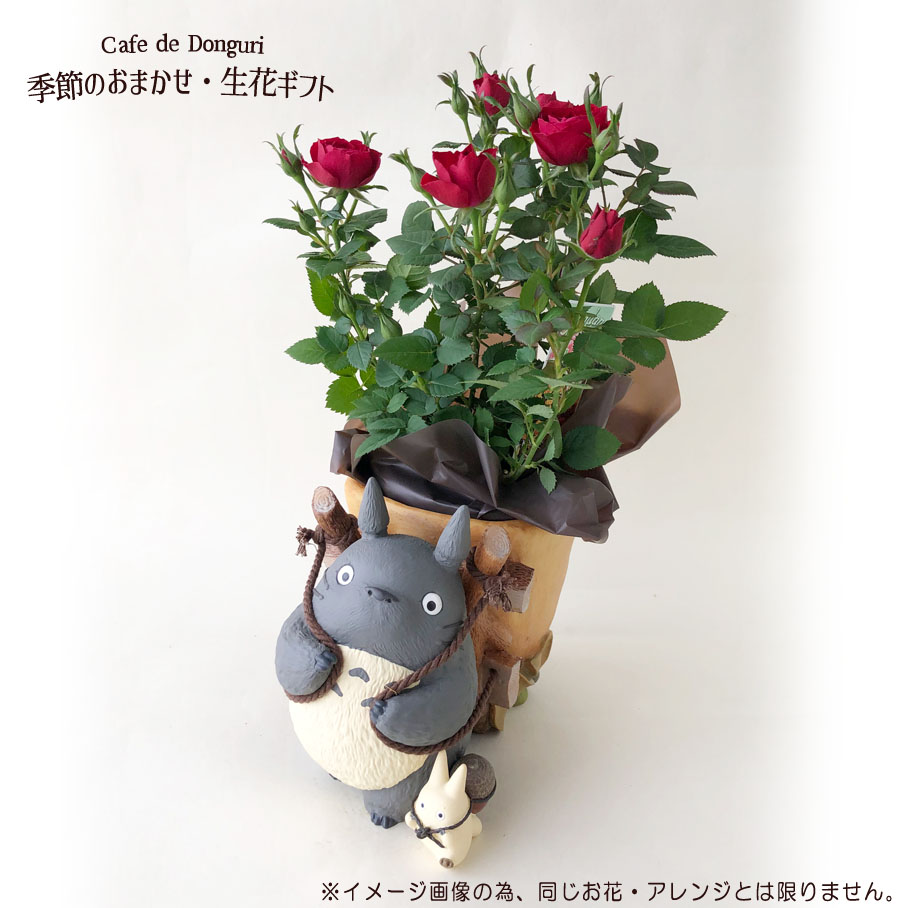 中トトロ　おみやげ袋プランター 中トトロ おみやげ袋プランター 楽天市場】ジブリ「となりの