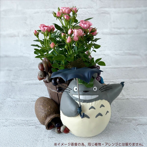 となりのトトロ　ガーデニング　植木鉢　2個セット 楽天市場】となりのトトロ どすーん！びっくり！ 植物・アレンジセット