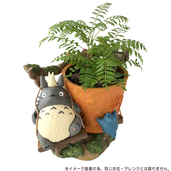 観葉植物 となりのトトロ わくわくぶらんこ おまかせ観葉植物 アレンジセット ジブリ グッズ 梱包送料込 買い合わせ不可 Educaps Com Br